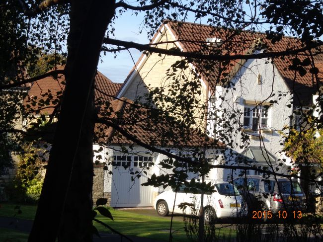 藪の隙間から見える瀟洒なお家。<br /><br />ここいら辺って多分高額所得者が多く住む地域なんだと思います。