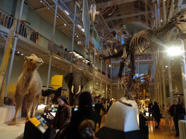 内部はガキンチョで一杯。<br /><br />今まで行った観光地で１番混雑していました。