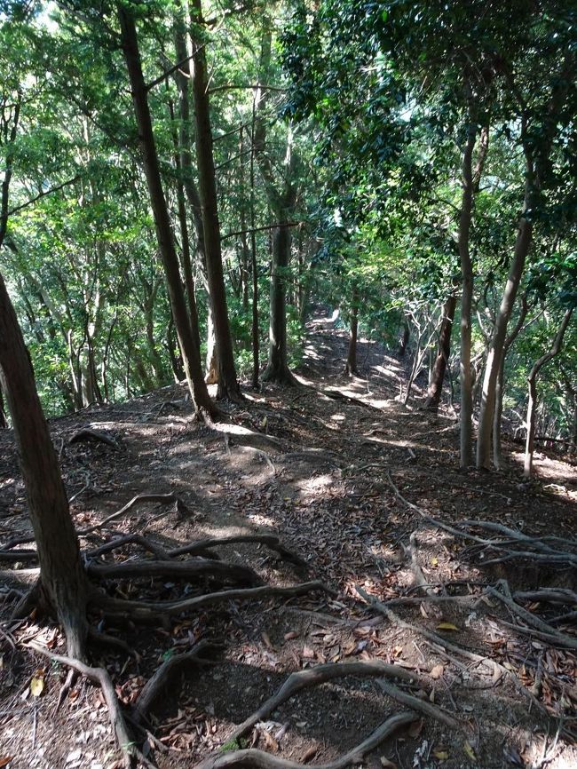 勾配のある下り道を降りてゆく