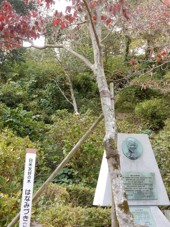 カーター記念碑<br /><br />1979年(昭和54年)6月27日、東京サミットで来日中のジミー・カーター第39代米国大統領の下田来訪の記念碑だそうです。<br /><br />記念樹はハナミズキ<br /><br />