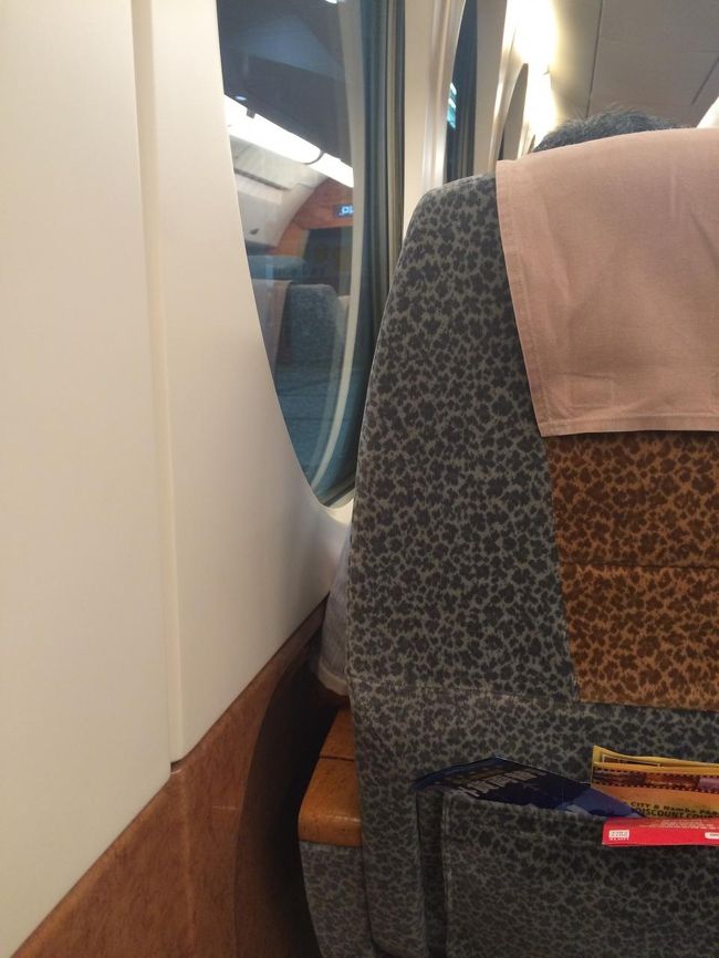 前回は時間がなくいかにもKIXタッチという感じでしたが、今回は5時間ほど時間があるので大阪市内へ向かいます。<br />関西空港に到着後、ラピートに乗って市内へ。