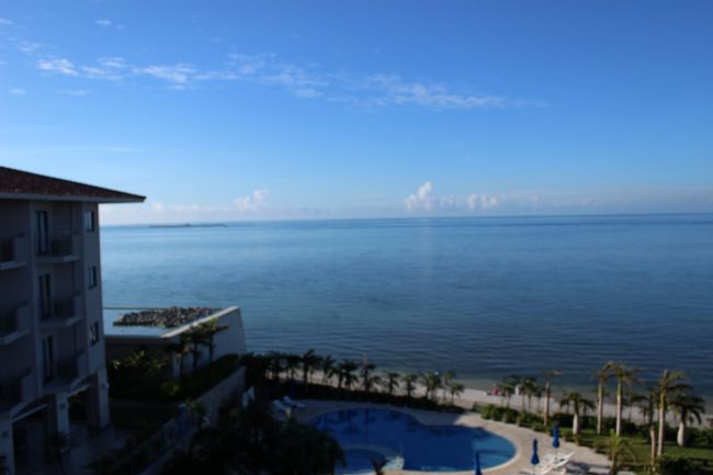 朝からお天気最高！！