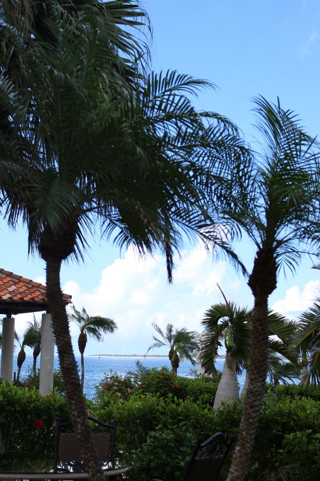 テラス席で食べました<br /><br />気持良い?！！！<br /><br />でデザートの時間<br /><br />ソフトクリームは。。。