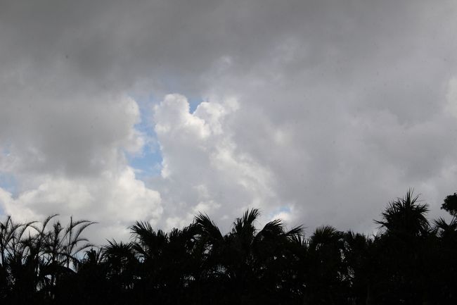 あれだけ晴れていたのに急に雲行きが怪しくなり始め....<br />