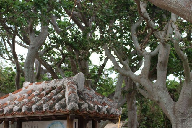 レッツゴー！<br /><br />と自転車に乗ったまでは良いが、<br /><br />なんせ無計画。。。。<br /><br />何処に行こうかと。。。<br /><br />