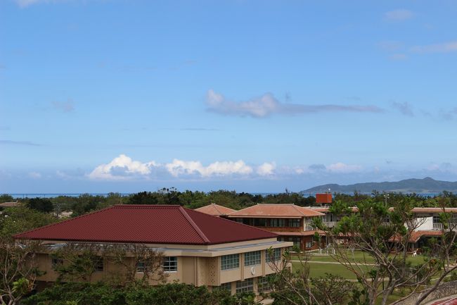 先ほどの学校を見降ろして