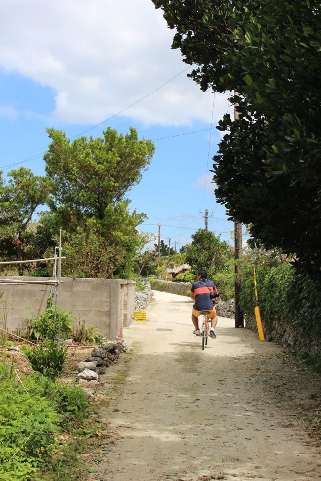次の目的地、カイジ浜をめざしてチャリをこぎます<br /><br />サンゴ砕いて敷き詰めてある道路らしく、<br />ハンドルがとられます<br /><br />気を付けて走行しましょうね