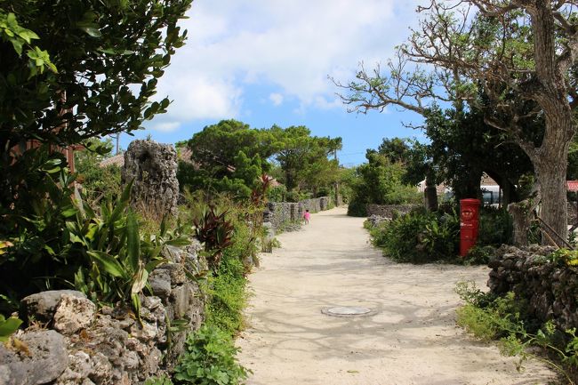 静かで綺麗な道が続きます<br /><br />歩くとザッザッと音がします<br /><br />島ぞうりはお勧めではありません<br /><br />なぜなら道が熱く痛いのです