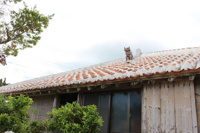 シーサーもいます