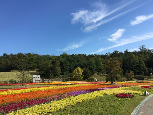 花と地球 花いっぱい！「花と緑の夢あいち」愛・地球博記念公園へ』尾張旭