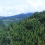 路線バスの旅　十津川村温泉～小辺路～天空の郷　果無集落～パワースポット玉置神社　前半