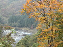 朝の散歩で渓谷の紅葉見物、
今が丁度良い感じでした。
