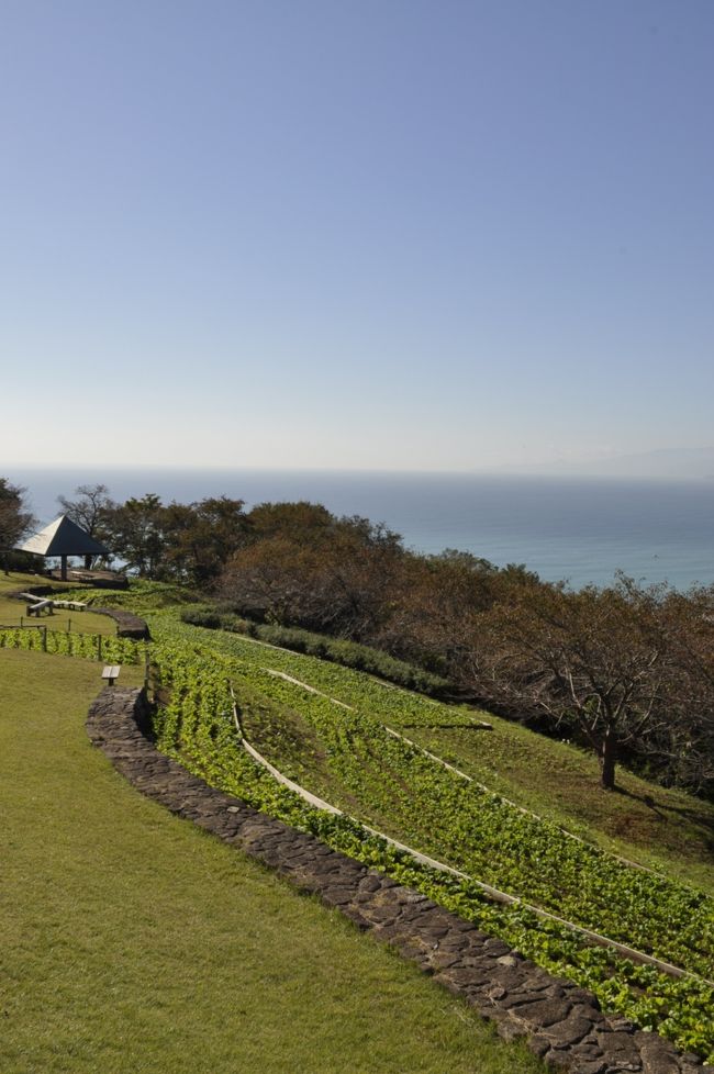 絶景、ホライゾン