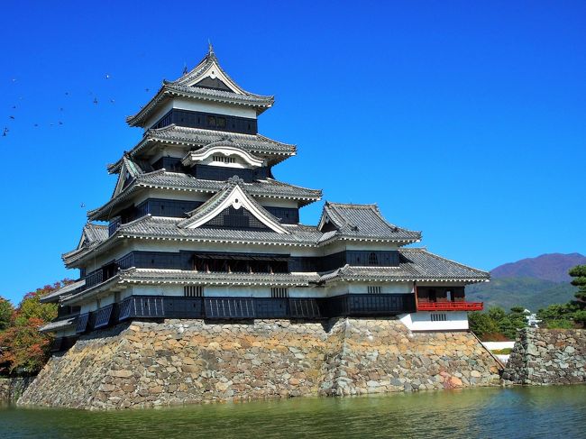 今日は予定変更になったので、ゆっくりと写真を撮ってみます。