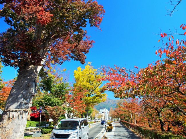 松本駅の観光案内所で聞いてきた通り、<br />松本市内は紅葉もいい感じになってきています。<br /><br />東京より山国はやっぱり早いのですね。