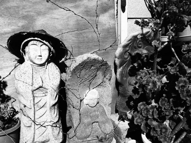 散策を続けます。<br /><br />次に向かうは