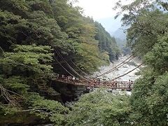 祖谷のかずら橋