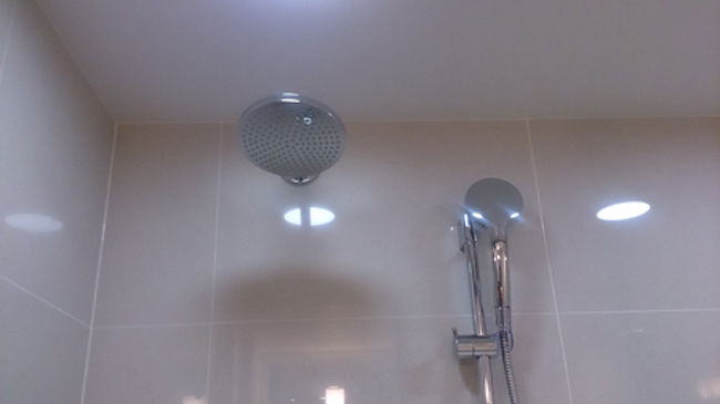 レインシャワーと稼働タイプのシャワー。