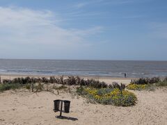 市バスに乗ってポシートスの海岸にやって来ました、って海じゃなかった。河岸です。