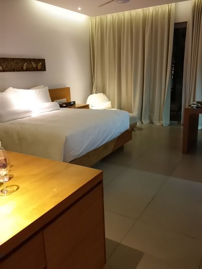 中の様子です。<br />カーテンの奥がバルコニーなんですけど、恐ろしく汚なかったので翌日優しくクレーム入れました！