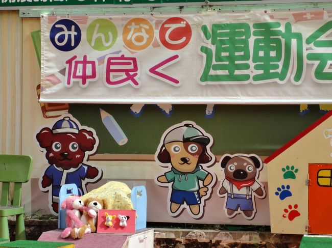 娘推薦の犬ｱﾄﾗｸｼｮﾝ。<br /><br />賢いﾜﾝﾁｬﾝ達のｼｮｰです。