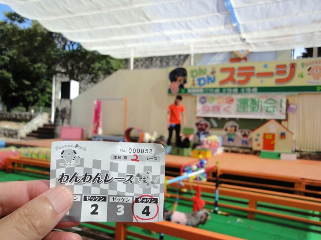 ﾜﾝﾜﾝﾚｰｽで、ﾜﾝﾁｬﾝ達のｴｻ代の足しに、と言うことで購入したﾜﾝ券。<br /><br />息子推薦のﾁﾜﾜが一番となりました。<br />奥様は、ｴｻ代に寄付ですが、参加賞の方が可愛かったです。