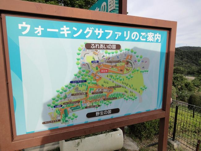 ここの特徴は、ｳｫｰｷﾝｸﾞｻﾌｧﾘという、緑に囲まれたｺｰｽﾞ内を歩きながら、様々な動物たちと間近に遭遇できることです。