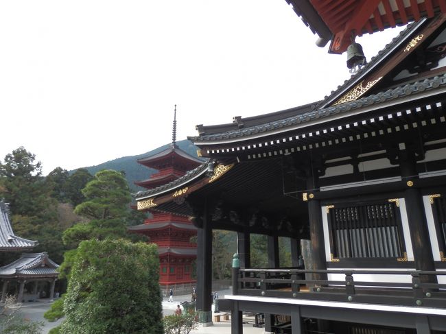 予期せぬ日蓮宗総本山・「身延山久遠寺」への参拝の旅!』身延 予期せぬ日蓮宗総本山・「身延山久遠寺」への参拝の旅!』身延