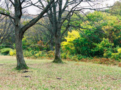 短い停車時間だが、茶屋の建つ萱野高原の景色も少しは楽しめた。