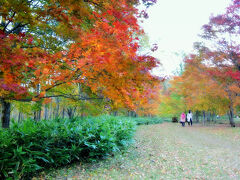 福原山荘の紅葉