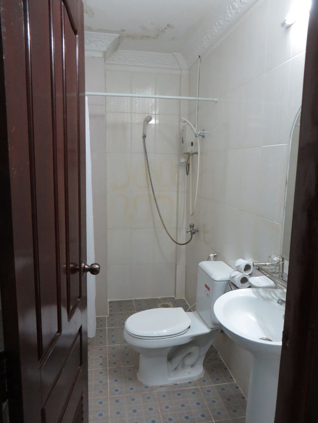 お湯もちゃんと出るシャワー。天井がカビてても気になりません。