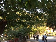 桜並木の参道を岩松院へ。
福島正則公の霊廟の岩松院には
葛飾北斎晩年の「八方睨み鳳凰図」があります。


晩秋の信濃路の旅行記に
ご訪問いただきまして有難うございました。
