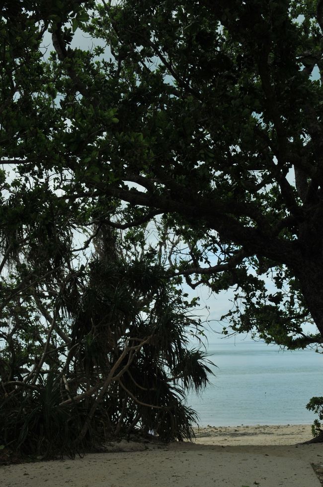 入り口です<br /><br />この向こうに綺麗な海景色が見れます<br /><br />星の砂で有名な場所です