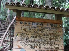 ◎トトロの森・１号地◎

森にはそれぞれの地に番号が振られていて
看板も建てられています。