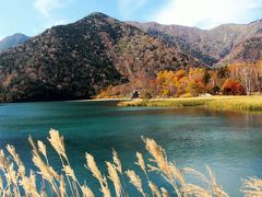 湯ノ湖の湖畔の木道を歩く。

湯の湖の湖面の色は岸に近いほどエメラルド色が強く、鮮やかな青色をしている。

その理由は…、
