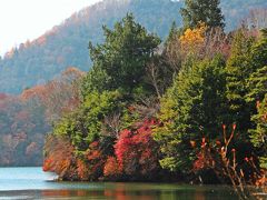 湯の湖には兎島と名付けられた小さな半島があり、その周囲も歩けるようになっている。
折角なので、兎島を廻って歩くことに…。

ほら、廻って良かった！

こんな綺麗な紅葉が見られるポイントに来ることが出来た。

