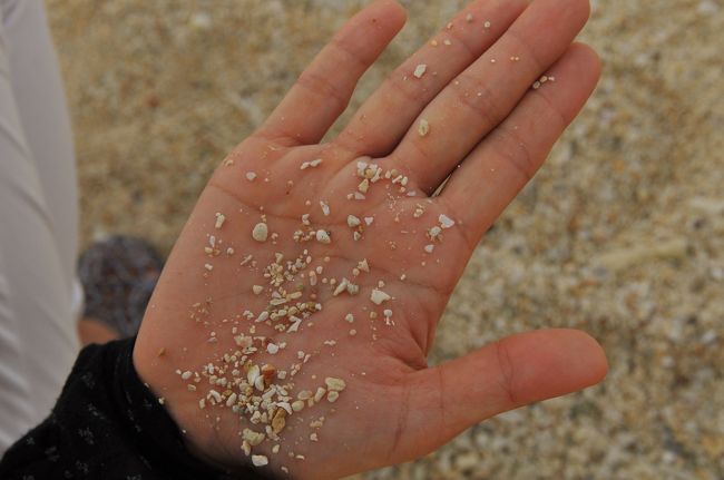 これを２?３回繰り返し。。。