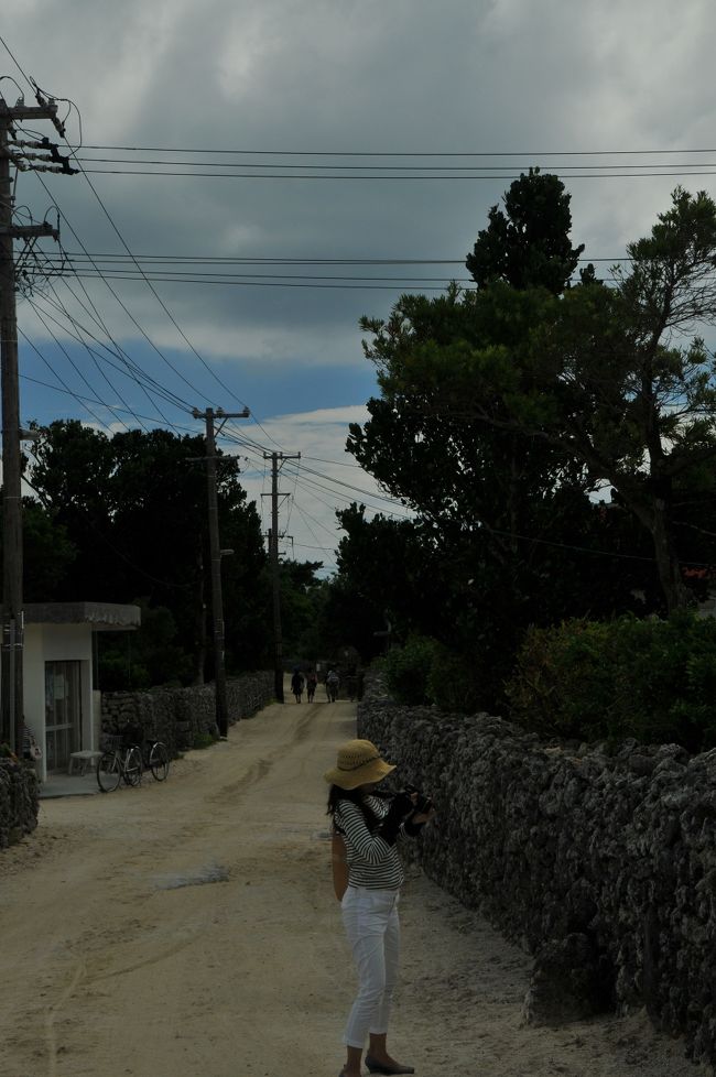 彼女も一生懸命写真を撮っています<br /><br />良い写真が撮れたら良いなぁ?と思い。。。