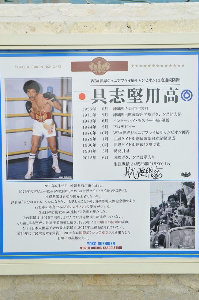 凄い記録を作られた方なのです<br /><br />子供の頃、具志堅さんの試合を見たのを思い出す