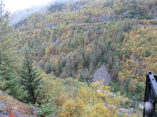 素晴らしい風景が広がっています。<br />雨でしっとりです。そしてモヤガガッテル。。。。(゜-゜)<br /><br />列車で流れる風景をみる観光は楽チンで雨でも楽しいです。<br />列車の地図を車内でもらえるので照らし合わせながら、<br />『あの滝は。。。』とか『あの山は。。。』とか。<br />日本はまだ紅葉の季節ではないので一足お先にカナダで紅葉を見られました。