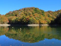 十二湖　鶏頭場の池