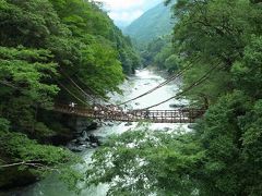 そのあと北上し徳島のかずら橋へ。

雨は降ったりやんだりだけど何とか傘はささずに歩けた。
有名な観光地なのかな、観光バスがたくさんいた。