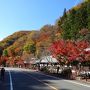 2015秋 古稀の父と旅する6日間（5）川場温泉