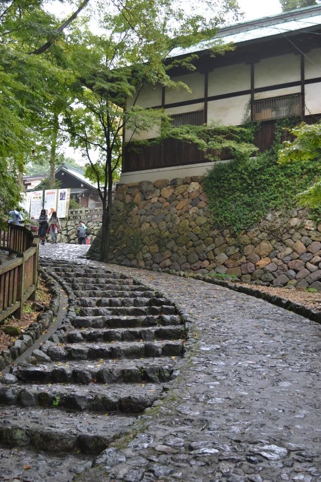 ここを登ればもうすぐです。