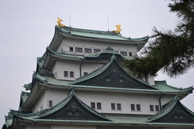 望遠レンズ持ってこなかったから金鯱が撮れない…！