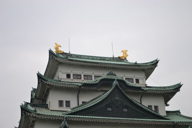 頑張るが…（泣）