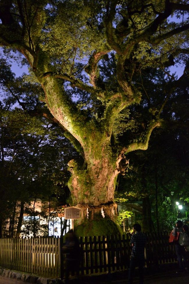 急いでお次は熱田神宮へ。<br />でも、ここへ着いた時にはもう18時過ぎで。真っ暗です。失敗した〜〜！どこで時間の配分間違えたんだろ。夜の神社って怖い…。<br />とりあえず、大楠を撮って、本殿でお参りして退散！<br />