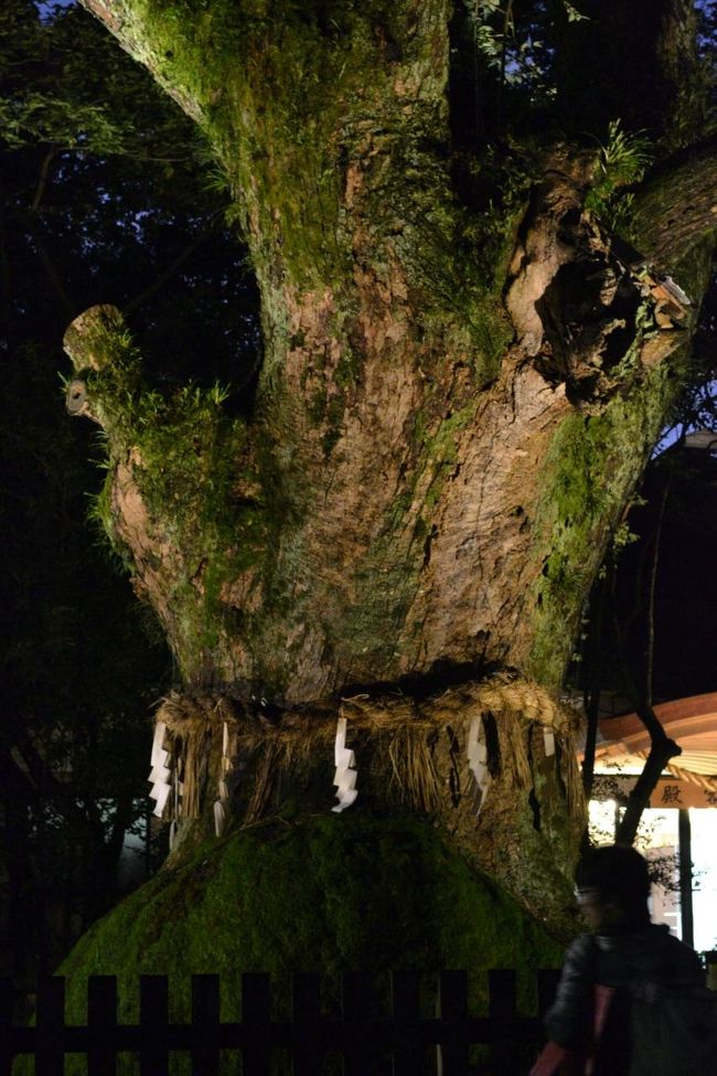 夜は怖いって…。でももう誰もいないかな、と思っていたのですが、意外とまだ参拝客いました！でも、何も見えないし、これで退散します。