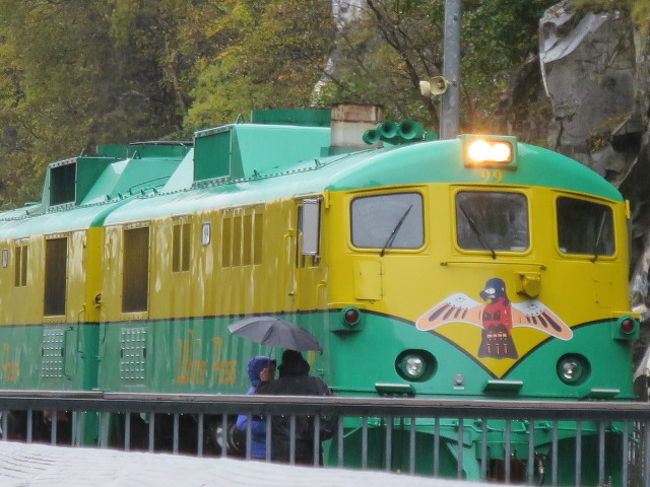 終点です。<br />乗る前の先頭列車とは少し違っていました。色は同じようだけど形が。<br />別のだったのね。。。<br />ハクトウワシの模様がかわいいです。<br /><br />行きかえりで３時間くらいのツアーでした。<br />お天気は残念でしたがなかなかの景色が見られたし列車は楽しいので行って良かったです。