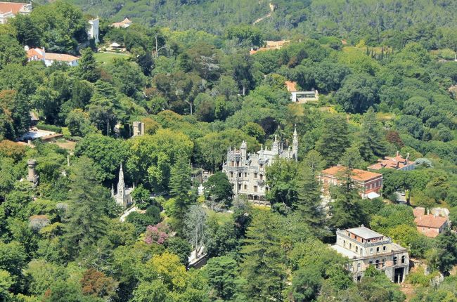 こkもほんとはめーーーーーーっちゃ行きたかったんだけど、あまりにも時間がなくて断念。しょんぼり。